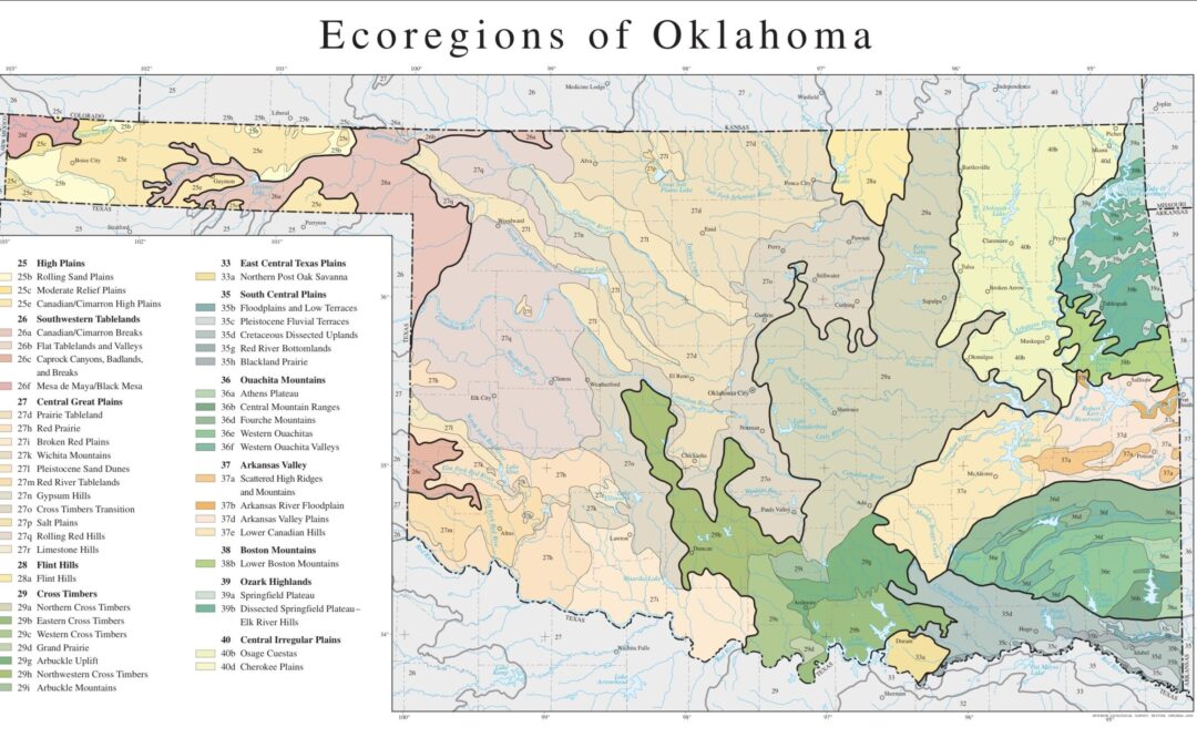Why Ecoregions Beat USDA Growing Zones in the Native Plant Game